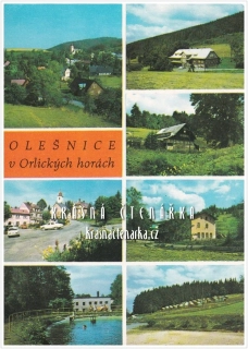 OLEŠNICE V ORLICKÝCH HORÁCH