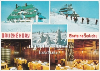 DEŠTNÉ V ORLICKÝCH HORÁCH, Masarykova chata na Šerlichu