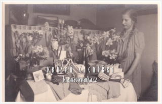 OSLAVA mladé slečny