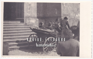 KOČÁR - KOŇSKÝ povoz - KONĚ