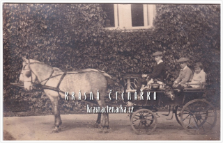 KOČÁR - KOŇSKÝ povoz - KONĚ