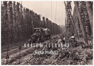 POZDRAV Z ČESÁNÍ CHMELE ... i s traktorem