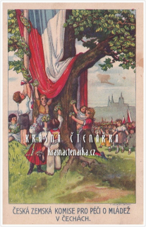 NÁRODNÍ (Česká zemská komise pro péči o mládež)
