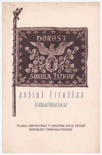 DOROST SOKOLA ŽIŽKOV, Vlajka zhotovená v desátém roce trvání Republiky československé