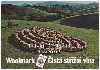 REKLAMNÍ pohlednice: WOOLMARK, čistá střižní vlna