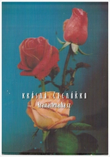 BLAHOPŘÁNÍ, Prostorová pohlednice