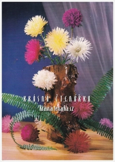 UPŘÍMNÉ BLAHOPŘÁNÍ