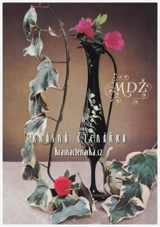 BLAHOPŘÁNÍ - Mezinárodní den žen MDŽ