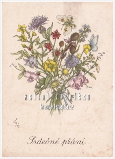 BLAHOPŘÁNÍ (il. L. Waldsteinová)