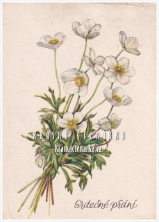BLAHOPŘÁNÍ se sasankou (il. Jiřina Kaplická)