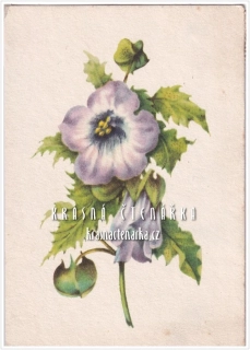 BLAHOPŘÁNÍ (il. Ludmila Jiřincová)