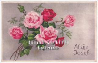 BLAHOPŘÁNÍ - AŽ ŽIJE JOSEF !