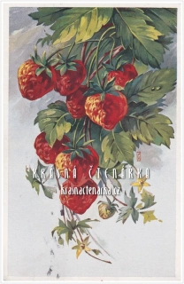 BLAHOPŘÁNÍ s jahodami (il. Pavel Černý)