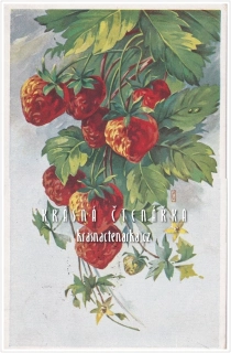 BLAHOPŘÁNÍ s jahodami (il. Pavel Černý)