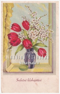 BLAHOPŘÁNÍ s tulipány
