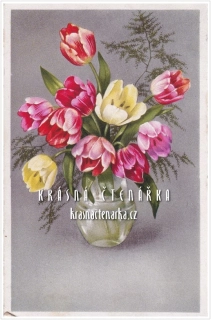 BLAHOPŘÁNÍ s tulipány