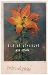 BLAHOPŘÁNÍ s lilií