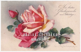 BLAHOPŘÁNÍ květinové, il. Catharina Klein