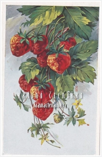 BLAHOPŘÁNÍ s jahodami (il. Pavel Černý)