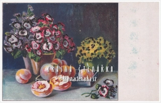 BLAHOPŘÁNÍ ozdobené