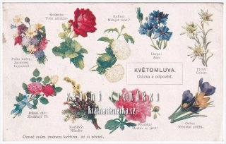 KVĚTOMLUVA