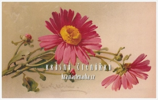 BLAHOPŘÁNÍ květinové, il. Catharina Klein