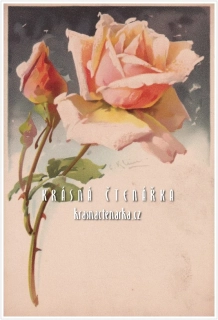 BLAHOPŘÁNÍ s růží, il. Catharina Klein