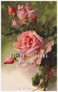 BLAHOPŘÁNÍ s růžemi, il. Catharina Klein