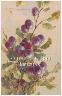 BLAHOPŘÁNÍ ovocné, il. Catharina Klein