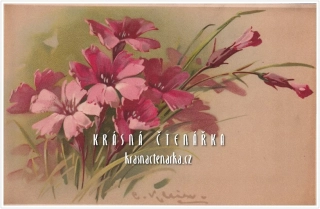 BLAHOPŘÁNÍ květinové, il. Catharina Klein