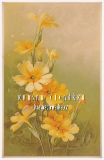 BLAHOPŘÁNÍ květinové, il. Catharina Klein