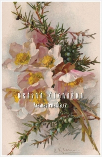 BLAHOPŘÁNÍ květinové, il. Catharina Klein