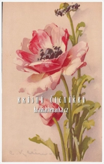 BLAHOPŘÁNÍ květinové, il. Catharina Klein