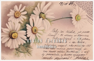 BLAHOPŘÁNÍ květinové