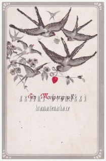 BLAHOPŘÁNÍ s vlaštovkami