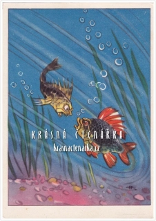 RUSKÉ POHÁDKY
