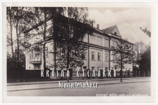 VYSOKÉ MÝTO, Nemocnice