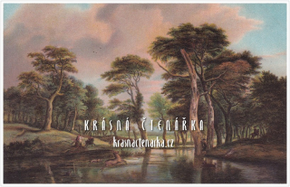 LESNÍ KRAJINA