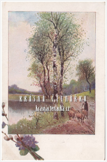 KRAJINA s břízkami