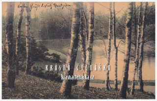 KRAJINA s lesem