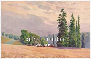 KRAJINA s polem