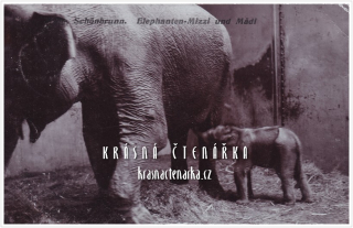 WIEN - VÍDEŇ, ZOO Schönbrunn