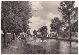 VESELÍ NAD LUŽNICÍ, Koupání v Lužnici