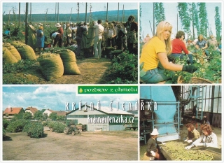 POZDRAV Z ČESÁNÍ CHMELE a Z CHMELOVÉ BRIGÁDY