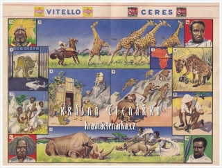 Vitello Ceres - Okénka do světa: CHYTÁNÍ ZVĚŘE V HABEŠI