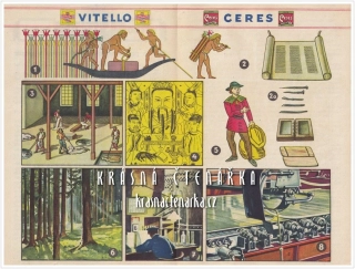 Vitello Ceres - Okénka do světa: JAK SE PROMĚNÍ JEHLIČNATÝ STROM V PAPÍR