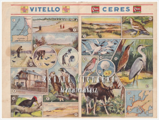 Vitello Ceres - Okénka do světa: TAH PTÁKŮ NA PODZIM A Z JARA