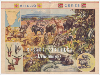 Vitello Ceres - Lehrtafeln: AM KILIMANDSCHARO 