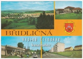 BŘIDLIČNÁ