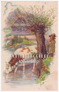 CHLAPEC s kravkou